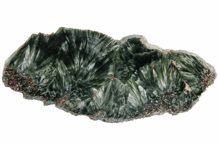 Polished Seraphinite Slab - Siberia #183484